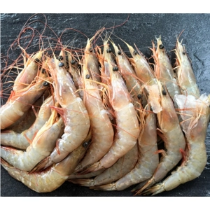 Atlantic White Prawns AA Grade (Shelled, 500g)