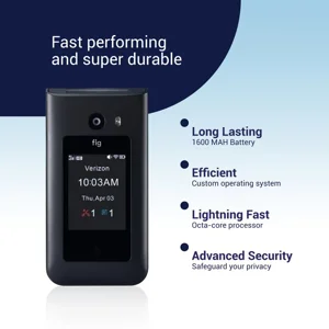 Fig core