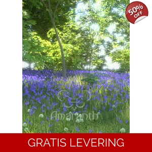 Lenteochtend in het Bos