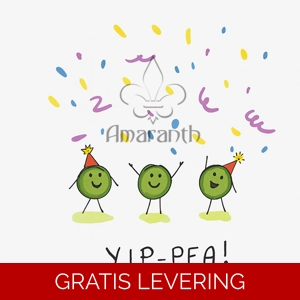 Feestelijke verjaardagkaart