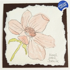 Zacht Roze Dankbloem