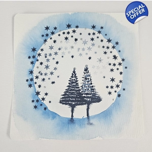 Magische Dennen onder Sterrenhemel