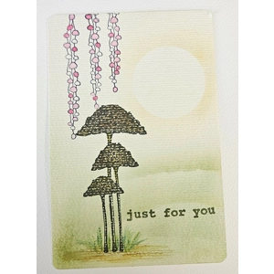 WK-195 Onder de Zachte Zonnekring