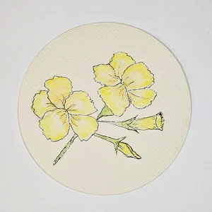 WK-221 Zonnige Bloesems