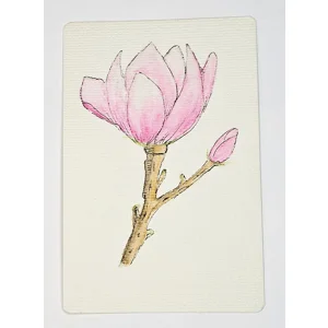 WK-243 Aquarel Magnolia
