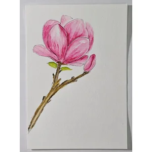 WK-316 Aquarelkaart Magnolia met Aquarelpotloden
