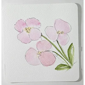 WK-323 Aquarelkaart 3 Roze Bloemen met Line Art
