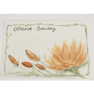 Opfleur berichtje bloem