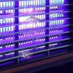 Lámpara Mata Mosquitos y Insectos Con Luz Ultravioleta 8W Lámpara Mata Mosquitos y Insectos Con Luz Ultravioleta 8W