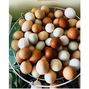 Hatchery Choice Eggs Preorder