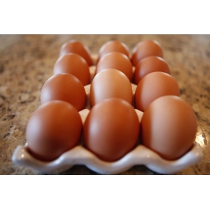 Rhode Island Red Eggs Preorder