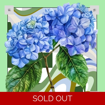 Hydrangea Swirl Hydrangea Swirl