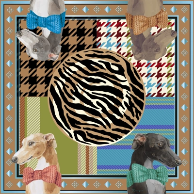 Spellbound Greyhound