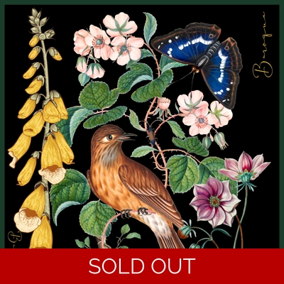 A-Life in the Garden