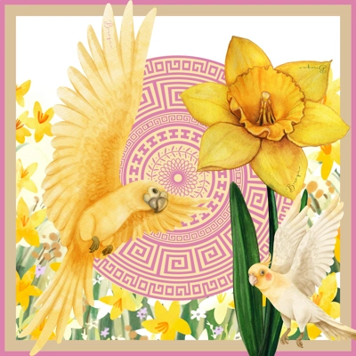 Looking out my Back door - LAST ONE