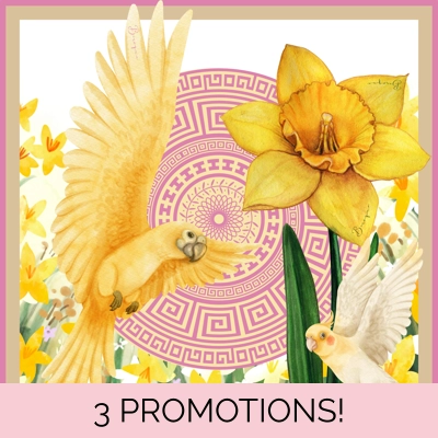 Looking out my Back door - LAST ONE