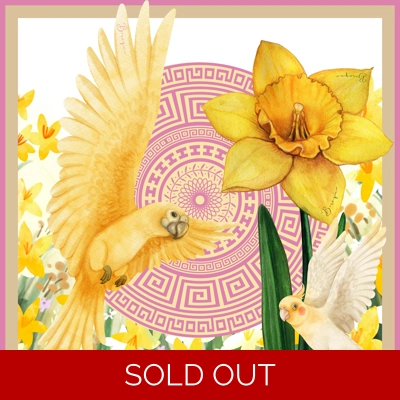 Looking out my Back door