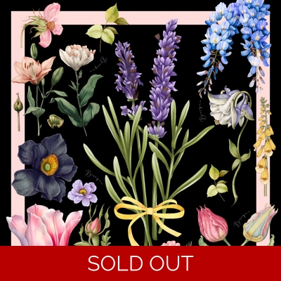 Garden of Imagination