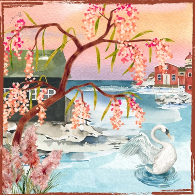 Swans Sunset - LAST ONE