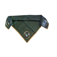 Its Emerald Evening Embellished