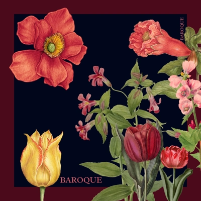 Navy Night - LAST ONE