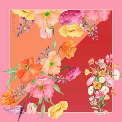 Bold Bow-K - LAST ONE