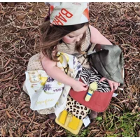 Quinny Zebra