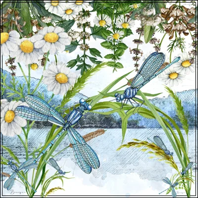 Fly Amongst Flowers