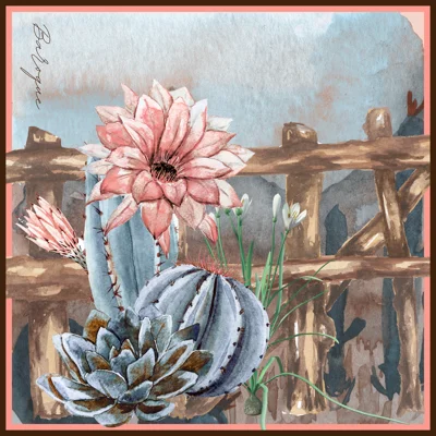 Country Cactus - LAST ONE