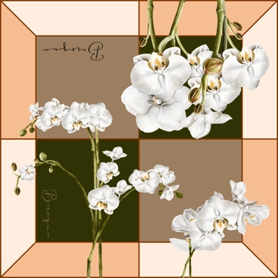 Orchid Oasis - LAST ONE