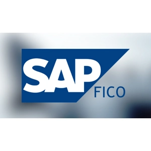 SAP FICO Module