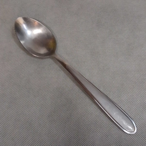 Oneida Peninsula Castle Jordan Laura Serving Spoon Stainless Steel 8 3/8