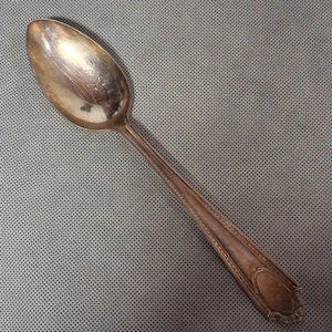 National NTS8 Cameo Serving Spoon Viceroy Plate Silverplate 8 1/4