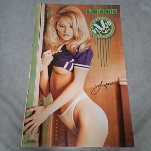 2001 Vivid Girls Lexus Locklear Poster 22.5