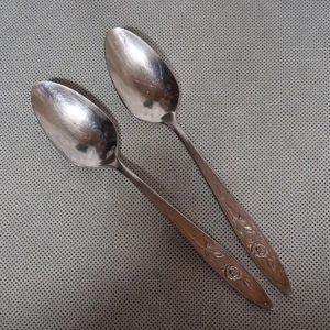 Oneida My Rose Teaspoons 2 Stainless Steel 6 1/8