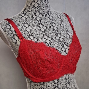 Victoria's Secret Dream Angels Push Up Bra 36DD Red Floral Lace