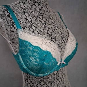 Victoria's Secret Dream Angels Plunge Bra 38B Aqua Blue Off White Floral Lace