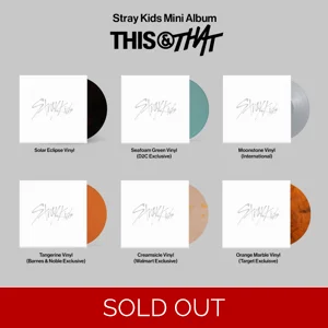 Stray Kids - THIS & THAT - USA EXCLUSIVES