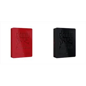 STRAY KIDS World Tour [dominATE SEOUL]