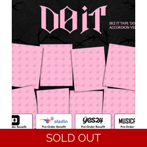 Stray Kids -SKZ IT TAPE ‘DO IT’ - accordion ver