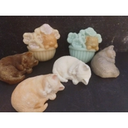 Cat Soap