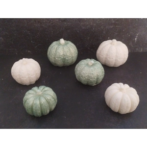 Pumpkins Soap