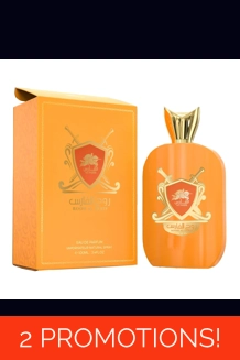 Al Fares Rooh 100M..