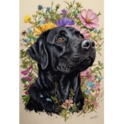 Black Labrador Retreiver