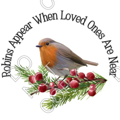 Robins Appear Solar Light