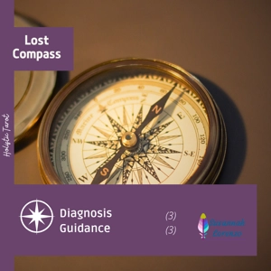 Lost Compass