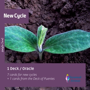 New Cycle New Cycle