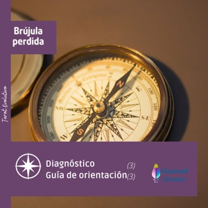 Brújula perdida
