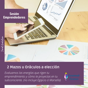 Consulta Emprendedores Consulta Emprendedores