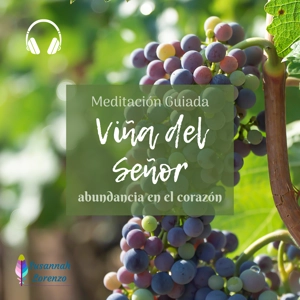 Viña del Señor - Meditación Guiada